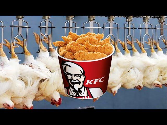 How KFC’s Crispy Chicken is Made: From Farm to Fryer