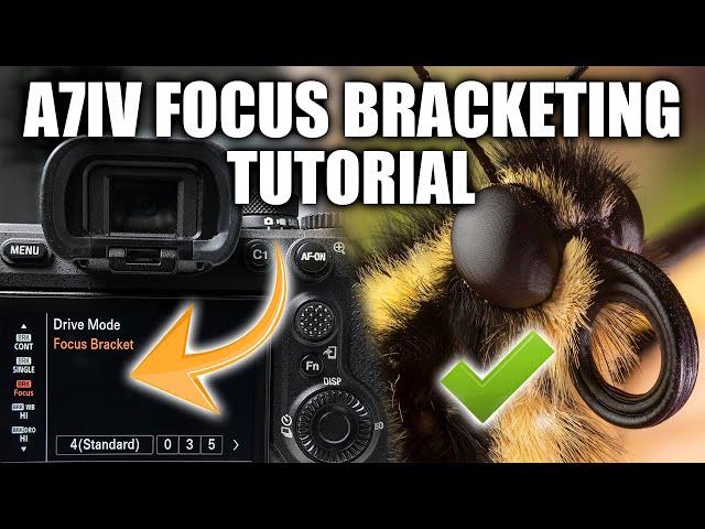 Sony A7IV Focus Bracketing Tutorial + Editing