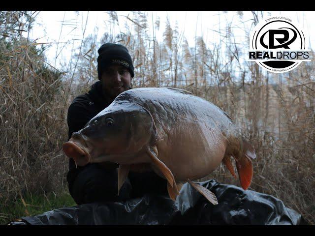 CarpFishing La gran escama - Real Drops