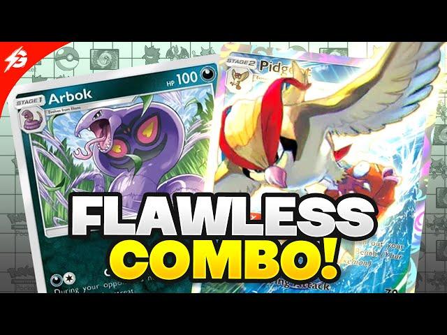 This UNDEFEATED 5-0 PIDGEOT Deck is SO GOOD in Pokemon TCG Pocket!