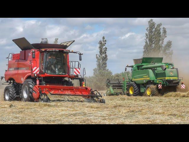 Gras dreschen mit Case Axial Flow 5140 und 2x John Deere