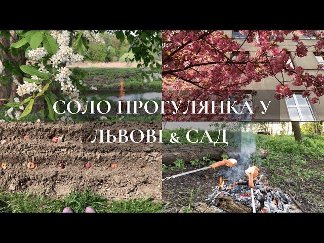 Соло прогулянка у Львові & Сад | цвітіння сакур, посадка гладіолусів, пікнік