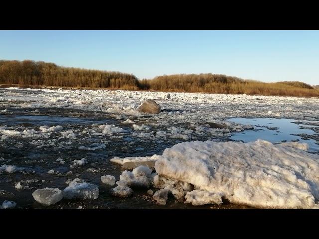 Ледоход на реке Сысола(Icebreaker on the Sysola River) 19.04.2021