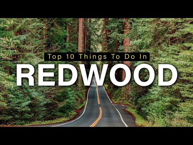 Top 10 Things To Do In Redwood National Park