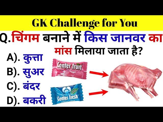 GK Questions || GK in Hindi || General Knowledge Questions and Answers || Gk Quiz || Gk ke Questions