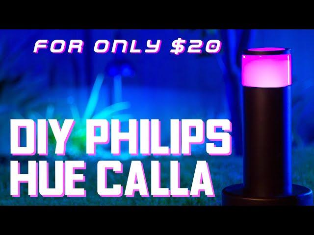 DIY Philips Hue Calla For $20 | Running RGB LED Pixels and WLED