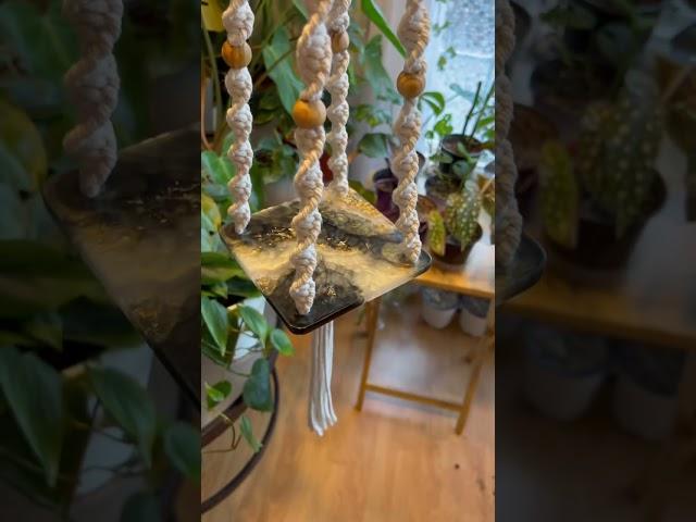 #plants #stringofhearts #plantparent #plantlover