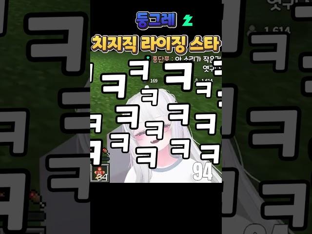 치지직 라이징스타 아니세요?