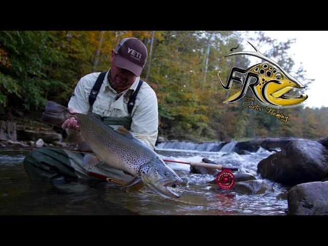 Fly Fishing for Huge Brown Trout in West Virginia