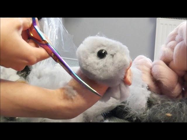 PetGroooming - Perfect Exercise For Beginners Groomers