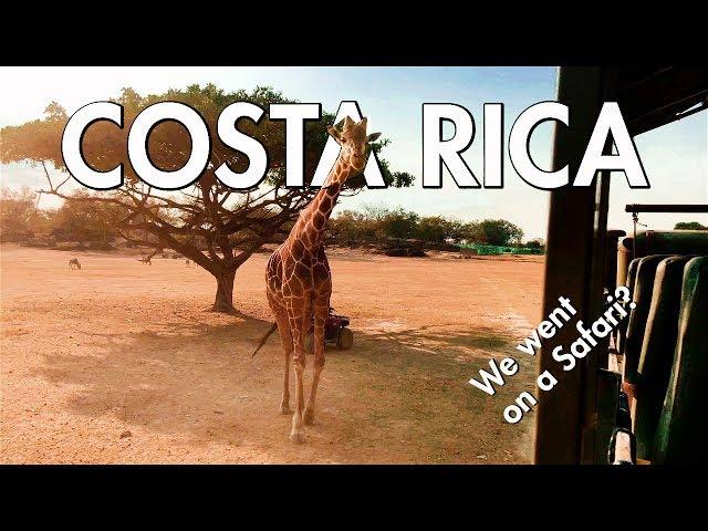 Costa Rica Tamarindo & Liberia "WE WENT ON A SAFARI?"