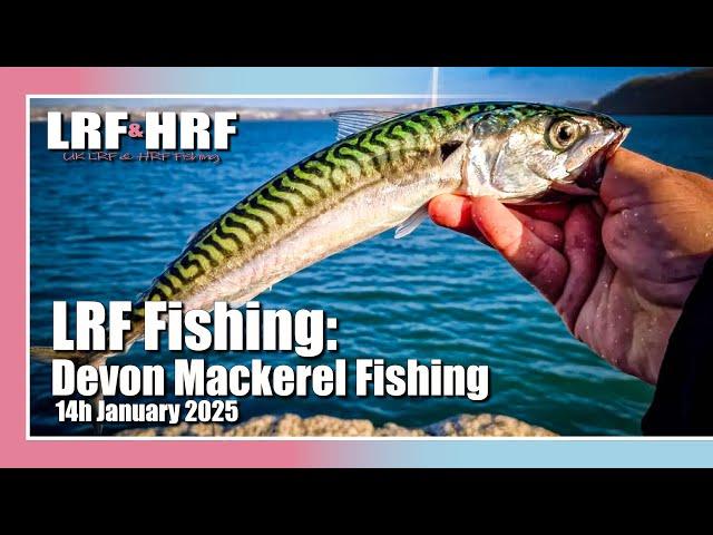 LRF Fishing: Winter Mackerel Fishing in Devon