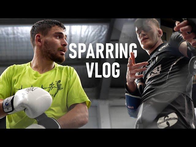 Absolute Sparring Vlog (the return)