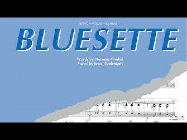 Bluesette with Michael Dunham on vocals and John Kozinski on guitar Nashville 9-17-23