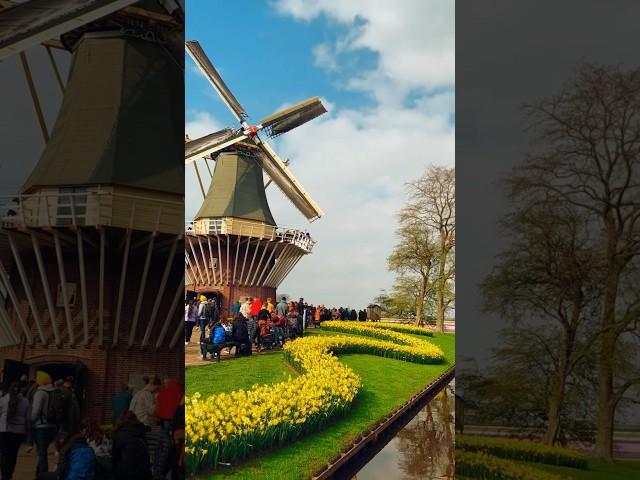 Things to do in Amsterdam 2024 