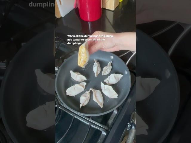 How to cook frozen dumplings. #shorts