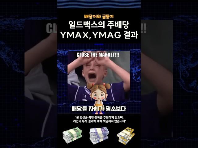 일드맥스 YMAG, YMAX 주배당 변경 후 첫 배당금 성적표는 ??