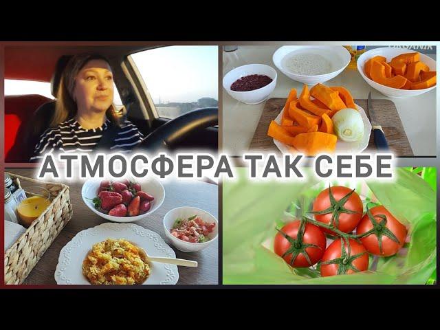 ВСЁ ПЕРЕЛОМАЛИ/ДАЧНЫЙ ВЛОГ