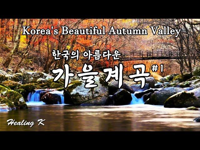 4k 한국의 아름다운 가을 계곡 물소리 #1 | Korea's Beautiful Autumn Valley | Relaxing Nature Calm 백색소음 ASMR