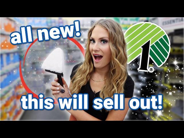 DOLLAR TREE BRILLIANT!  time-saving NEW finds you NEED 2024!