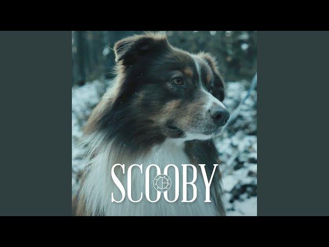 Scooby