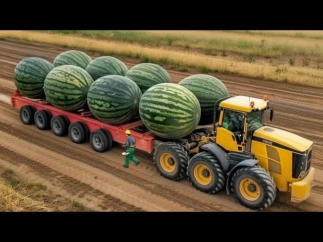 Most Unbelievable Agriculture Machines Working Process