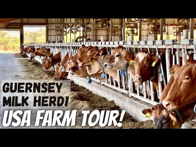 Touring Hoards Dairyman Farm!