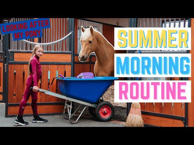 MY HORSES SUMMER MORNING ROUTINE