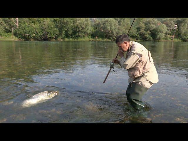 Pecanje pastrmke na varalicu na reci Neretvi BiH | Fishing trout FULL VIDEO