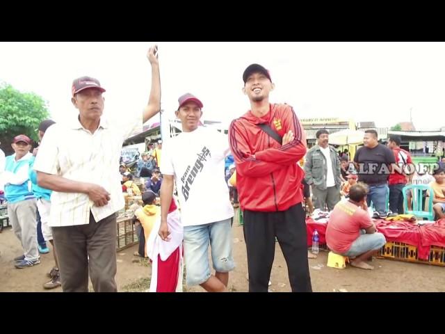 lomba merpati kolong tingkat nasional,Lampung,hadiah utama new alya..