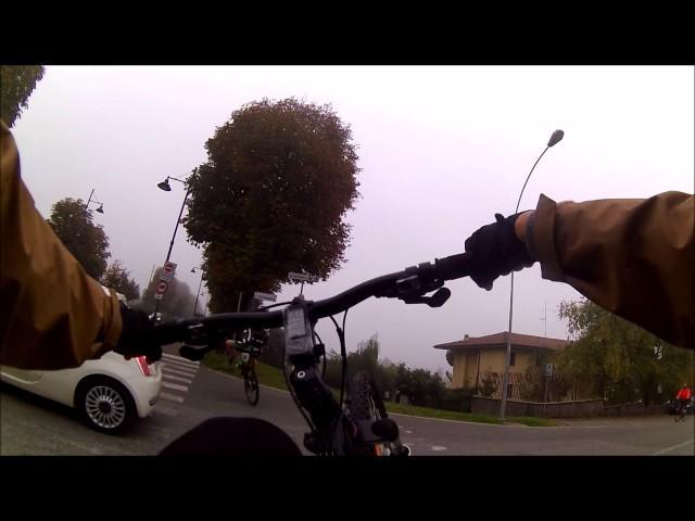 wheelies & urban xc
