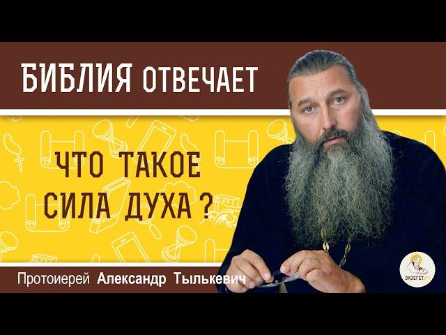 ЧТО ТАКОЕ СИЛА ДУХА?  Библия отвечает. Протоиерей Александр Тылькевич