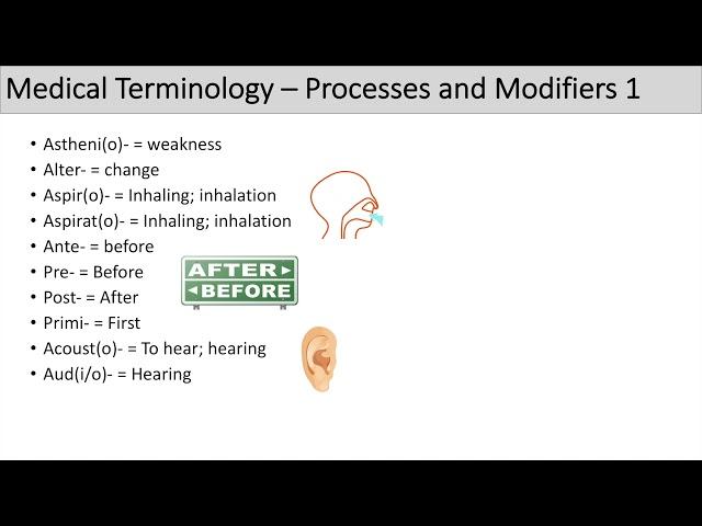 Medical Terminology - The Basics - Lesson 5