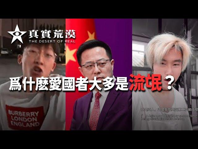 爲什麽愛國者大多是流氓？ |  亞人 | 趙立堅