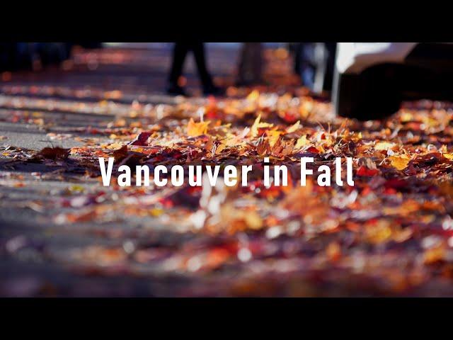 4K: Vancouver in Fall