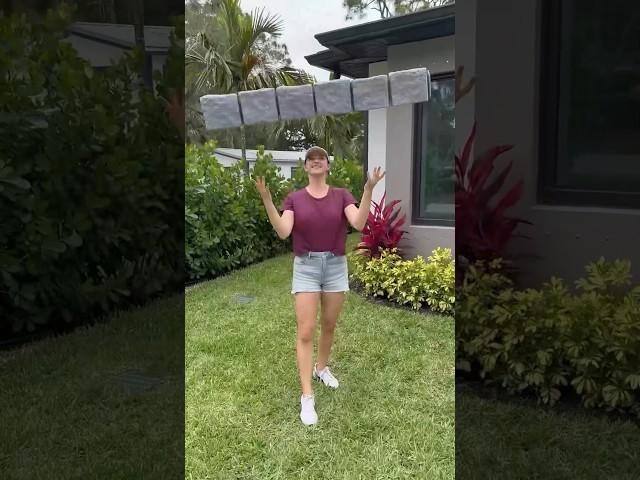 They look so real  #lawn #garden #landscape #shorts