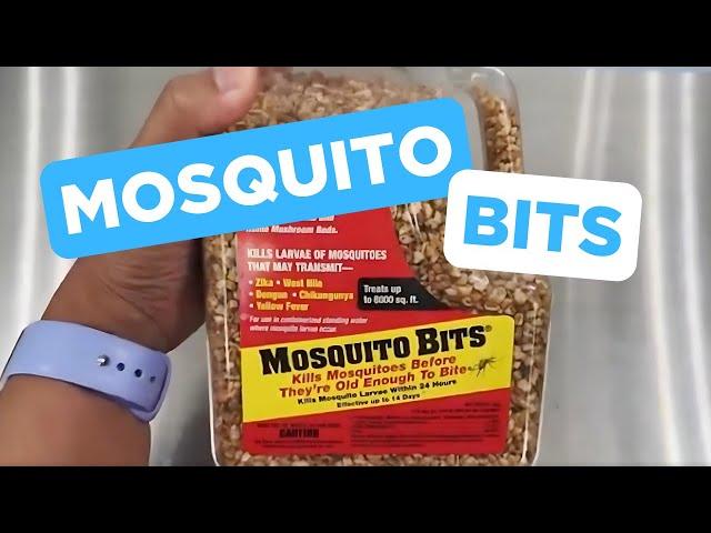 Mosquito Bits Review: Should you buy this?