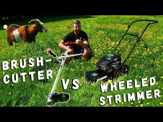 Unveiling the Unexpected: Comparing Brushcutters and Wheeled Strimmers!