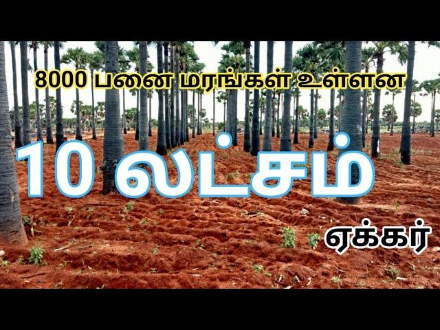 10 லட்சம் ஏக்கர் விவசாய நிலம் விற்பனைக்கு |10 lakhs  Farm land for Sale | GK Housing Properties