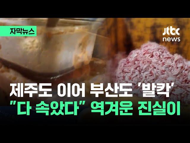 [자막뉴스] "손꼽히는 곳들이 이래"…부산 갔다 발칵 뒤집힌 이유 / JTBC News