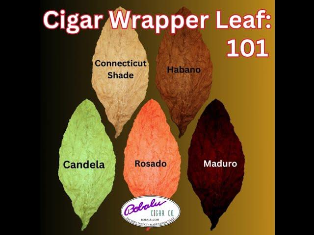 Cigar wrappers leaves explained 2024