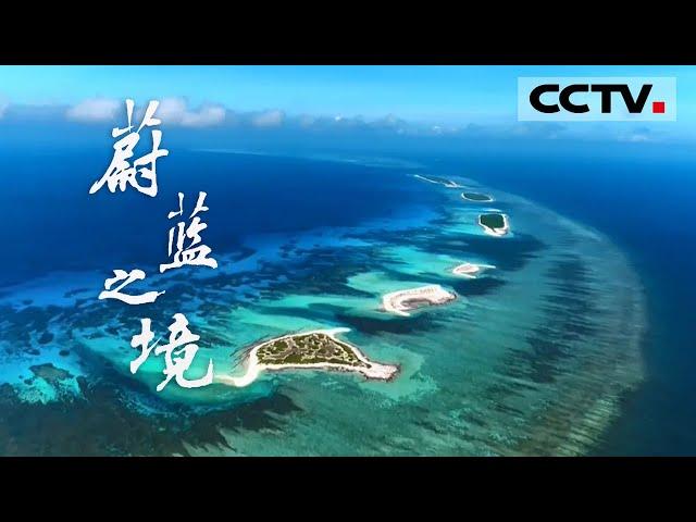 豆瓣评分9.2！媲美BBC的《蔚蓝之境》带你领略“地球脉动”《蔚蓝之境》【CCTV纪录】