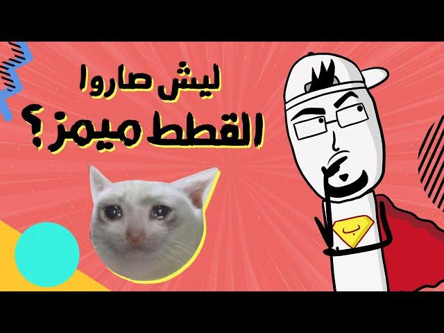 مع بندق | ليش القطط صاروا ميمز فجأة؟