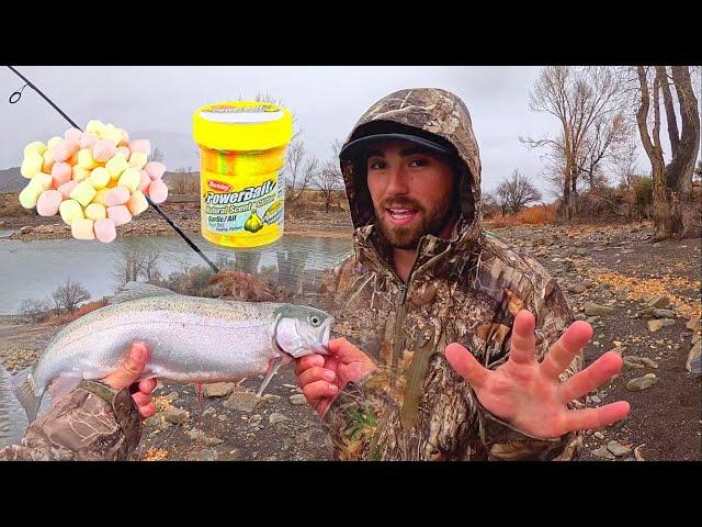 Powerbait Vs. Marshmallow Trout Fishing Catch & Cook!!