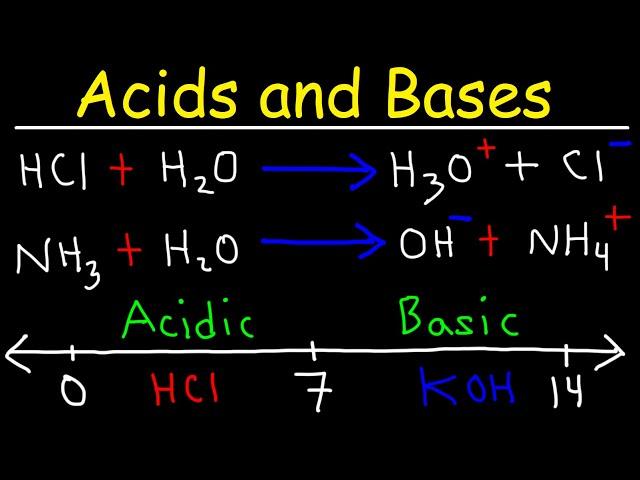 Acids and Bases - Basic Introduction - Chemistry