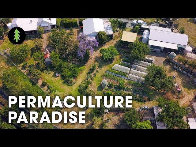 Hugely Abundant 1-Acre Permaculture Homestead Tour – Limestone Permaculture Farm Revisit