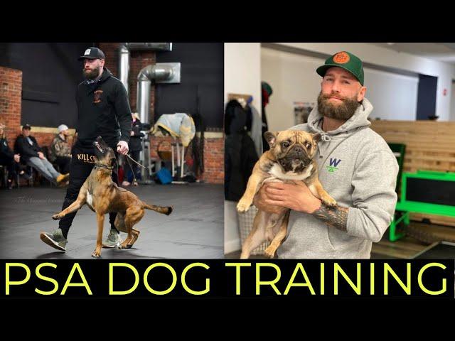 DOG TRAINING & PROTECTION SPORTS DECOYING - The Art of Dog Training | YOLO PUP with Jared Wolf