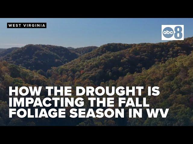 What to expect for West Virginia's fall leaf-peeping season