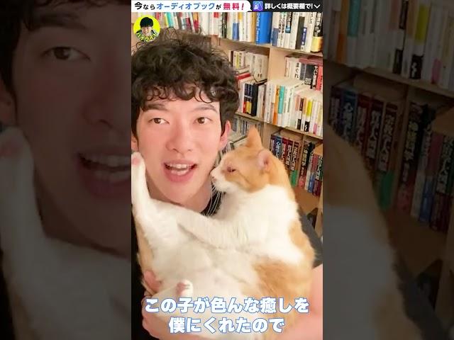 いずれ来る、ぬこ様とのお別れ【DaiGo切り抜き/ペットロス/保護猫】 #Shorts