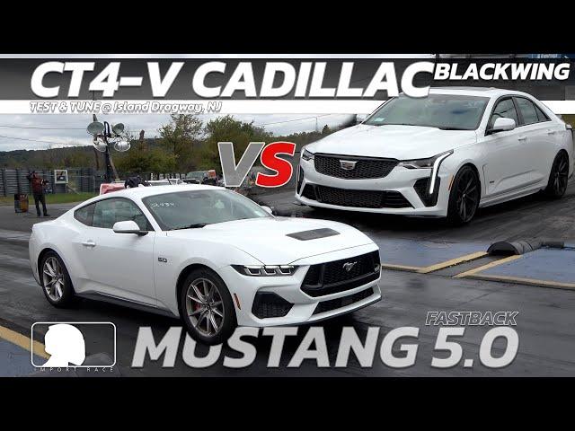 2024 Cadillac CT4 V Blackwing vs 2024 Ford Mustang Fastback 5 0